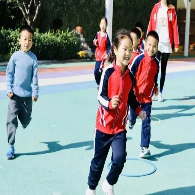 篮球季后赛走势深度解读与数据分析